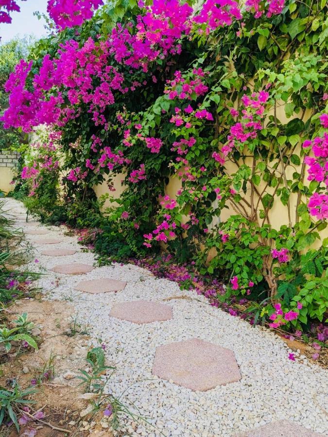 Villa Saraba โซโมน ภายนอก รูปภาพ