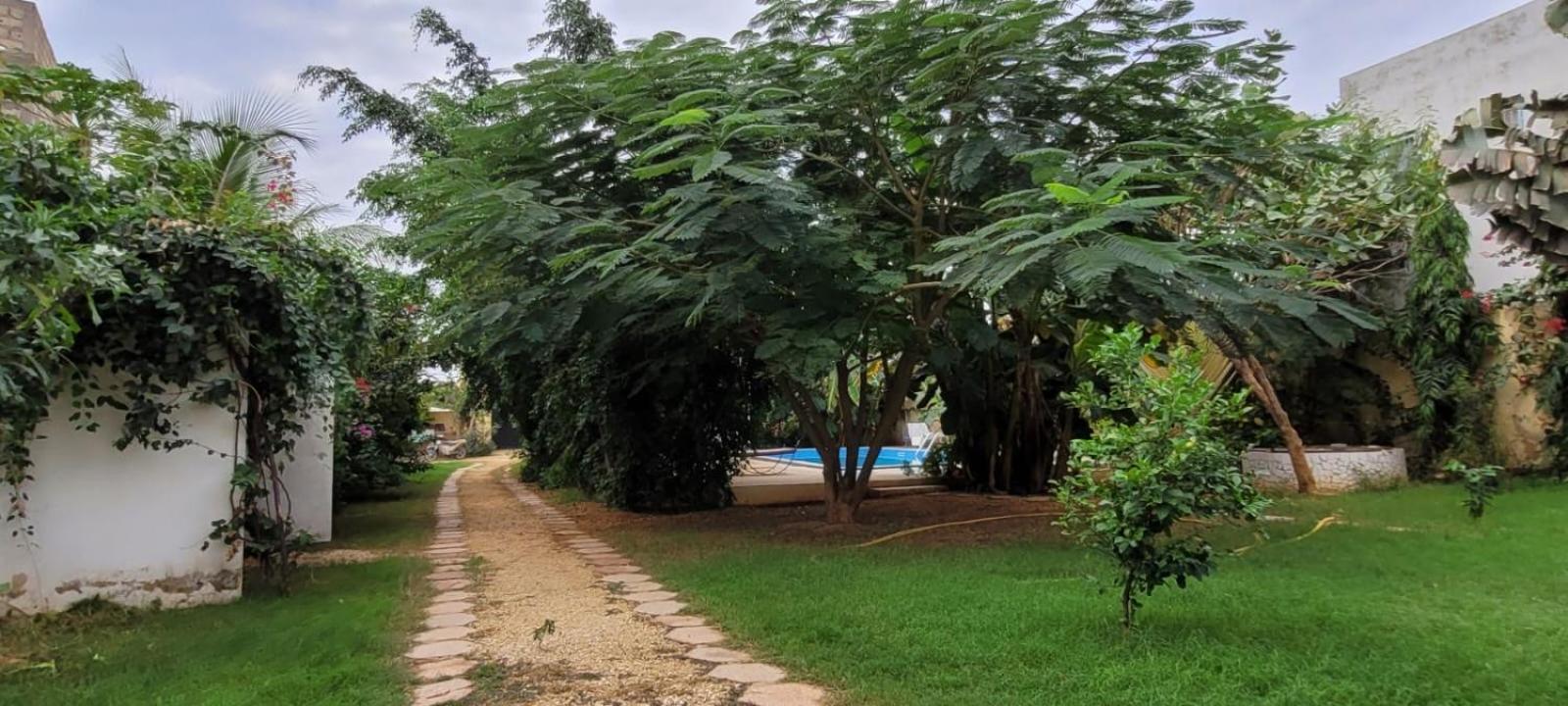 Villa Saraba โซโมน ภายนอก รูปภาพ